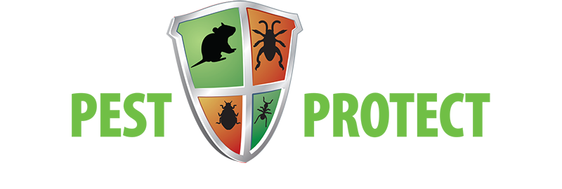 Pest Protect service London with pest control